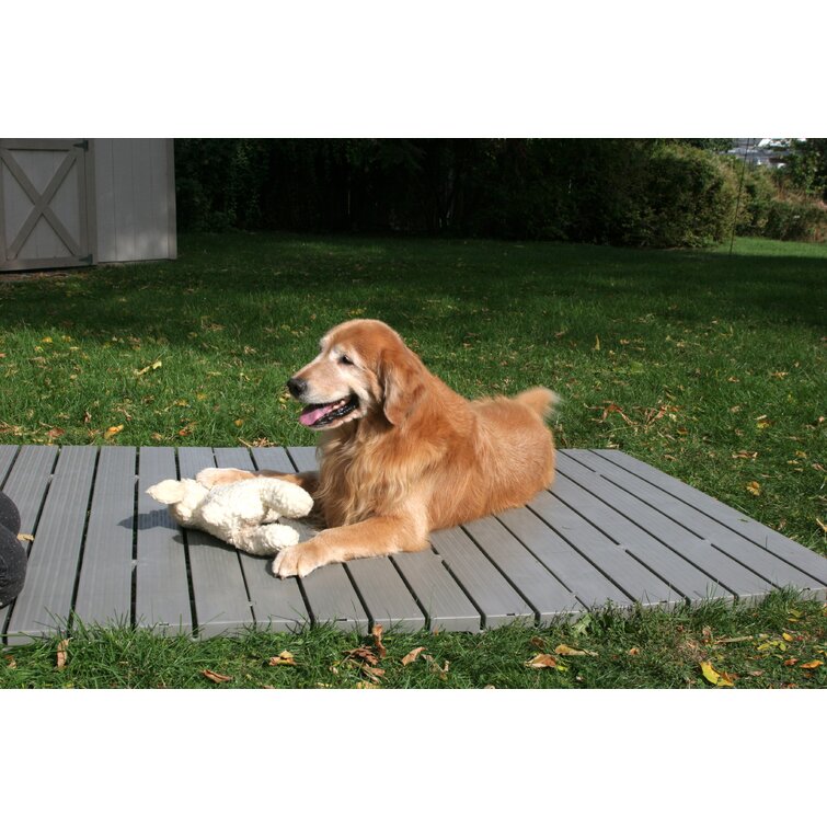 Dog kennel cooling outlet system